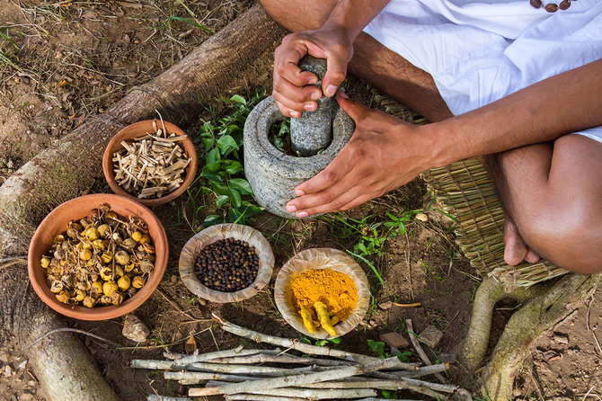 Shutterstock nuotr./Ajurvedos medicina