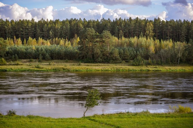 Projekto partnerio nuotr./Pėsčiųjų žygyje „Nemuno kilpomis“