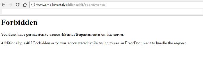 „Smėlio vartų“ projekto tinklapis nebepasiekiamas