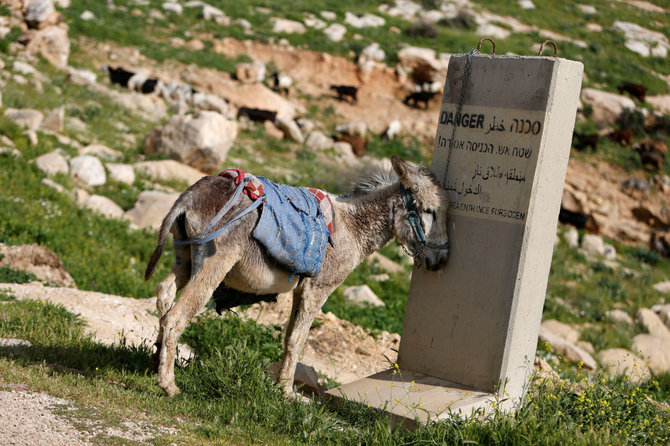 „Reuters“/„Scanpix“ nuotr./Jordano slėnis