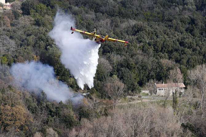 AFP/„Scanpix“ nuotr./Ugniagesių lėktuvas Korsikos saloje