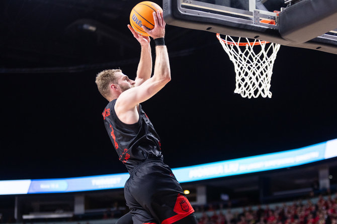 Roberto Riabovo / BNS nuotr./FIBA Čempionų Lyga: Vilniaus „Rytas“ – Sombathėjaus „Falco“