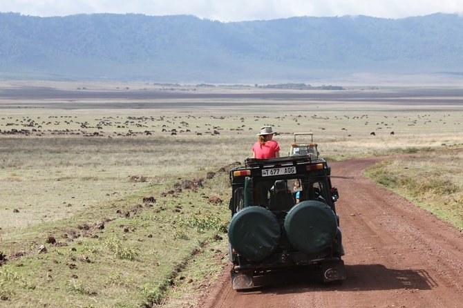 Kelionių organizatoriaus „GRŪDA“ nuotr./„GRŪDOS“ keliautojai Ngorongoro krateryje