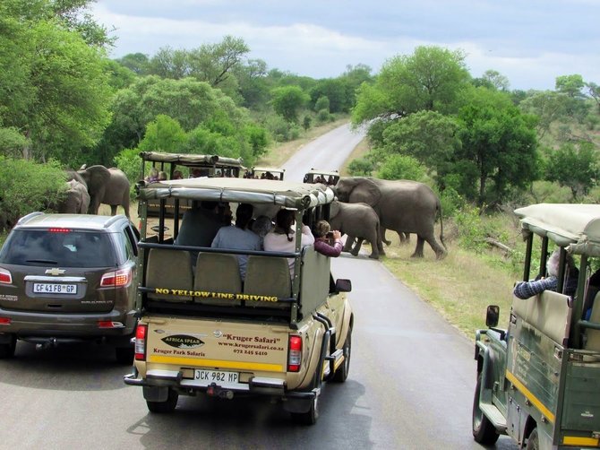 Kelionių organizatoriaus „GRŪDA“ nuotr./Safaris Kriugerio nacionaliniame parke, Pietų Afrikos Respublika