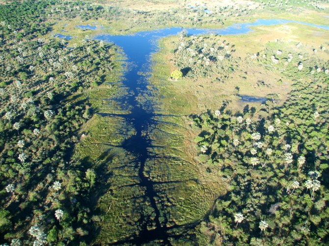 Kelionių organizatoriaus „GRŪDA“ nuotr./Okavango deltos fragmentas iš paukščio skrydžio, Botsvana