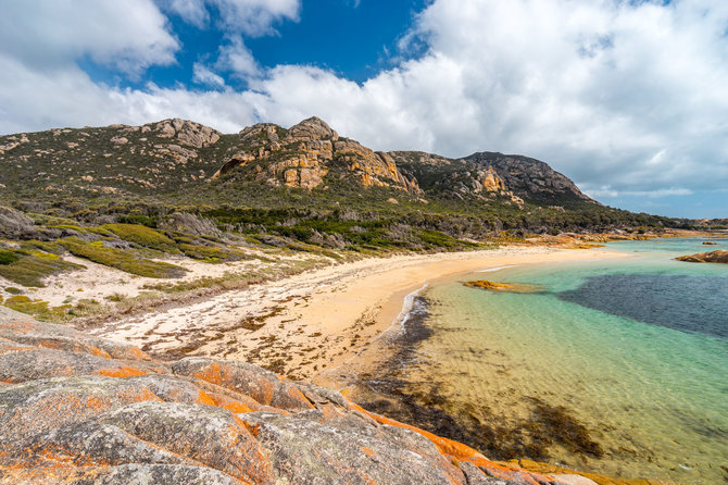 Shutterstock nuotr./Flinderso sala, Baso sąsiauris