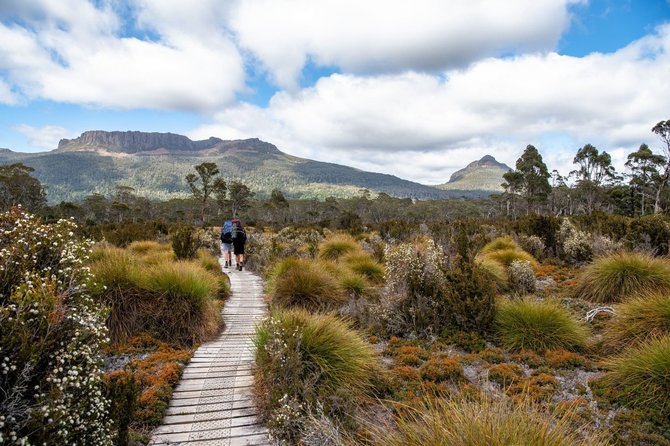 Shutterstock nuotr./Turistinis žygis „Overland Track“, Tasmanija