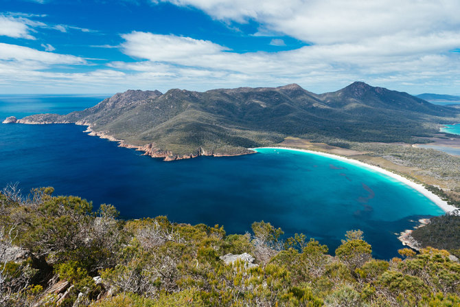 Shutterstock nuotr./Tasmanija