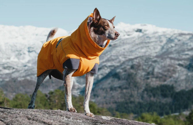 PetCity nuotr./Hurtta Expedition parka striukė