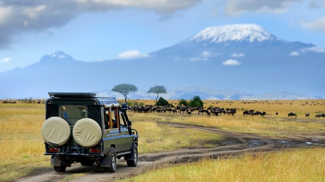 Shutterstock nuotr./Safaris Kenijoje