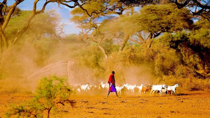 Shutterstock nuotr./Vietiniai gyventojai Kenijoje