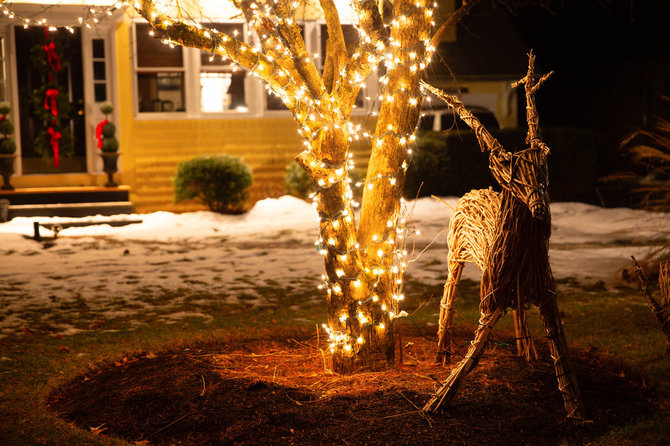Shutterstock nuotr./Kalėdinis apšvietimas kieme