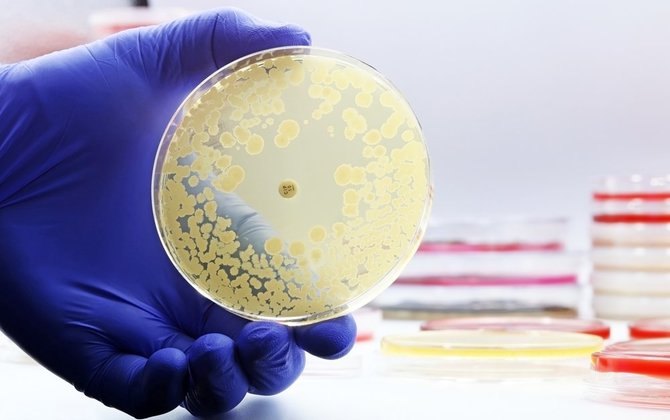 Shutterstock nuotr./Antibiotikai ir bakterijos