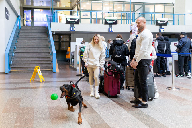 Lukas Balandis / BNS nuotr./Terapiniai šunys Vilniaus oro uoste