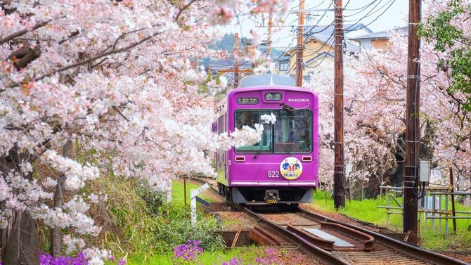 Shutterstock nuotr./Japonija