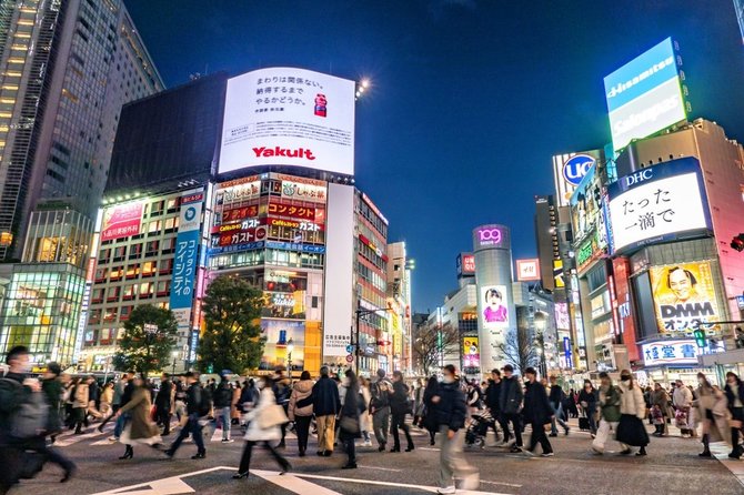 Shutterstock nuotr./Japonija