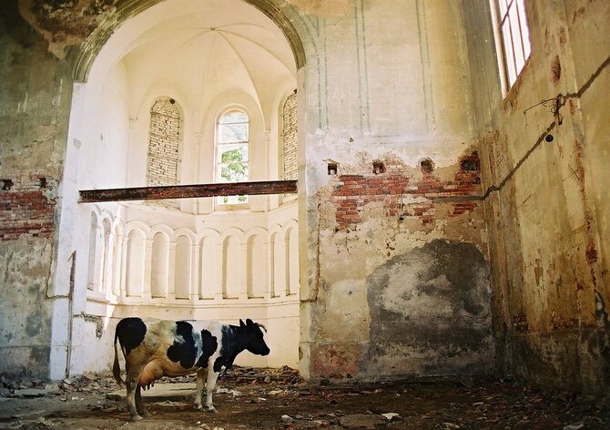 Asmeninio arch. nuotr./Algimantas Stalilionis iš Pumpėnų