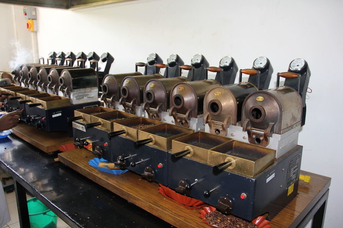G.Vilčinsko nuotr./Laboratorinės kavos skrudinimo krosnelės Kenijoje. Tikrinama kiekviena kavos partija