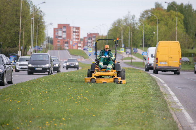 S. Žiūros nuotr./Vilnius imasi naujos vejų šienavimo strategijos: sieks atkurti natūralias pievas