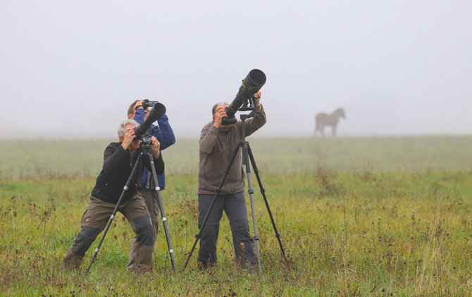 M.Karlono nuotr./Gamtos fotografai