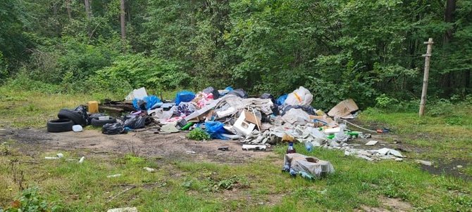 VMU nuotr./Lietuvoje pirmąkart rengiama akcija „Miško kuopa“: miškininkai kviečia kartu tvarkyti miškus