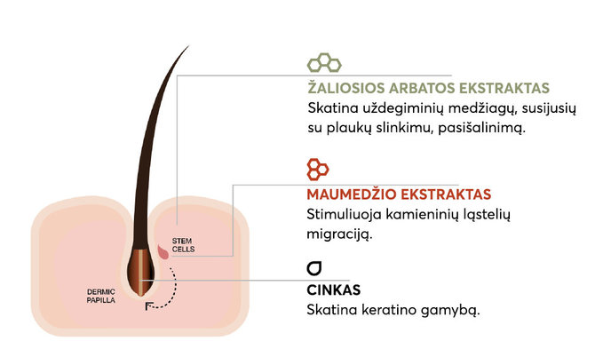 „Elgon“ nuotr./Inovatyvi formulė „Redensyl“