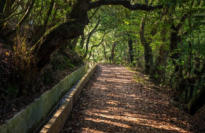 Shutterstock nuotr./Levada do Furado