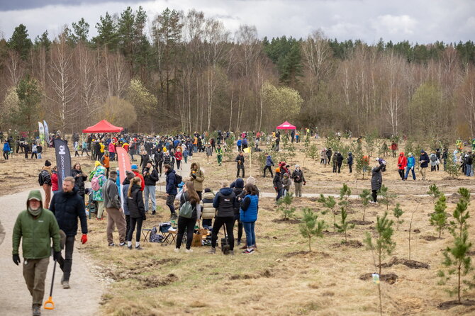 Sauliaus Žiūros nuotr./Padovanokite miestui mišką: įmonės kviečiamos prisidėti prie miško sodinimo Vilniuje