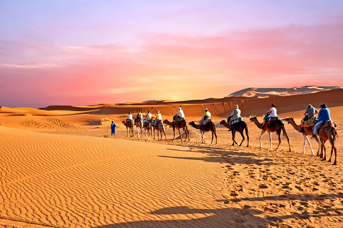 Shutterstock nuotr./Marokas