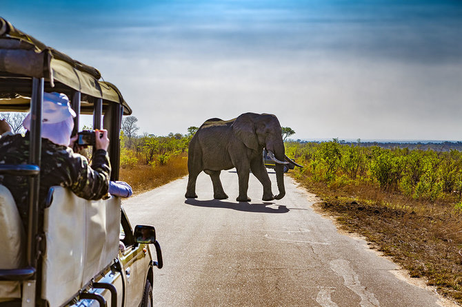 Shutterstock nuotr./Safaris PAR
