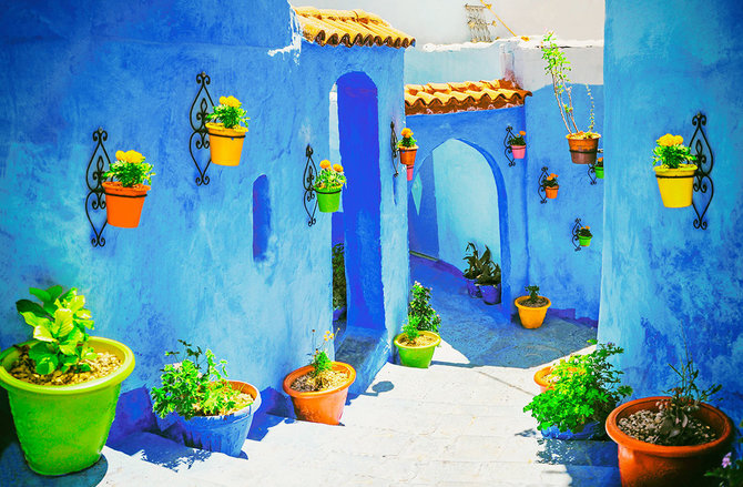 Shutterstock nuotr./Marokas