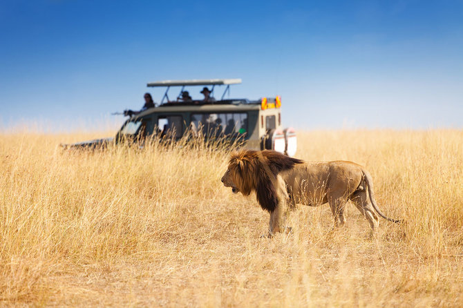 Shutterstock nuotr./Safaris