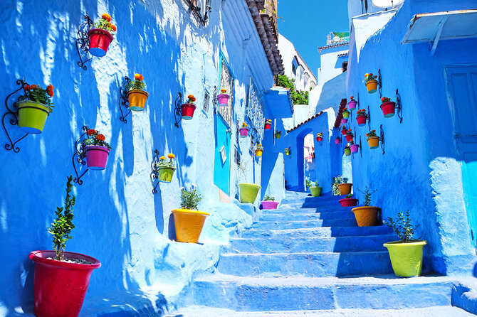 Shutterstock nuotr./Sefsauenas