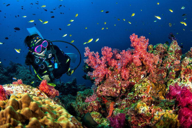 Shutterstock nuotr./Andamanų jūra