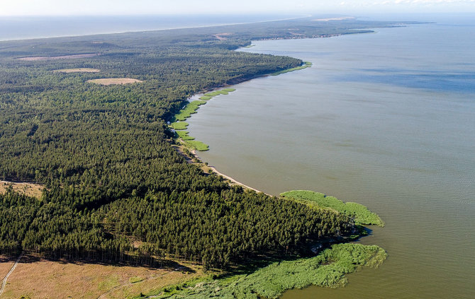 Projekto „Pamario švyturių kelias“ nuotr. /Bulvikio ragas