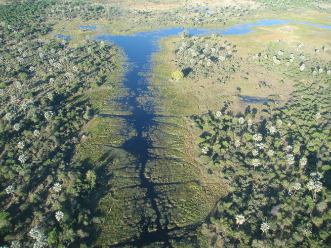 Kelionių organizatoriaus „GRŪDA“ nuotr. /Okavango upės delta - oazė