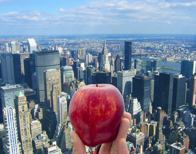 Kelionių organizatoriaus „GRŪDA“ nuotr. /„Didysis obuolys“ – Niujorkas