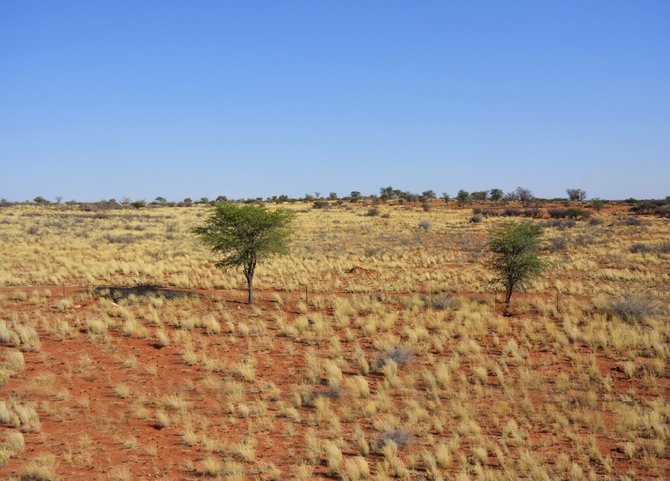 Kelionių organizatoriaus „GRŪDA“ nuotr. /Kalahario dykuma