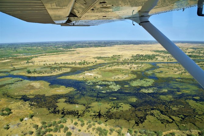Kelionių organizatoriaus „GRŪDA“ nuotr. /Okavango upės delta