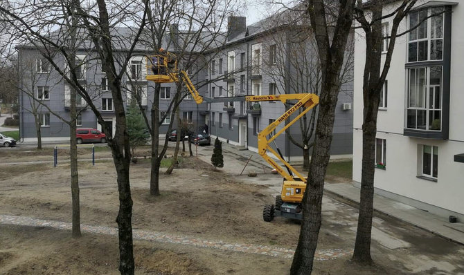 Asmeninio archyvo nuotr. /Dviejų Kauno daugiabučių kaimynai kieme augančius medžius papuošė lemputėmis