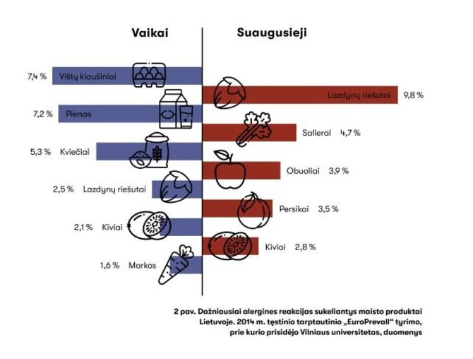 VU iliustracija/Dažniausiai alergines reakcijas sukeliantys maisto produktai Lietuvoje
