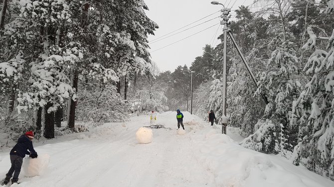 Šveicarijos seniūnijos nuotr. /Nukritus elektros laidui kelias užtvertas sniego seniais