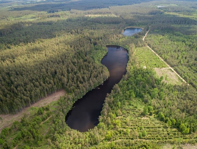 Giedrės Streikauskaitės ir Andrejaus Tomenko nuotr./Plaukimo meistras Vaidotas Gumbis ruošiasi perplaukti visus įmanomus perplaukti Kaišiadorių rajono ežerus