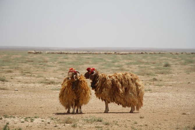 Asmeninio archyvo nuotr. /Jordanija