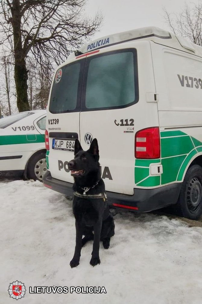 Vilniaus aps. VPK nuotr./Tarnybinis šuo Puma