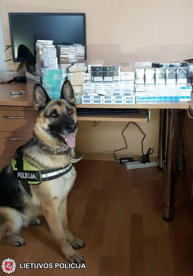 Vilniaus aps. VPK nuotr./Policijos surengta akcija