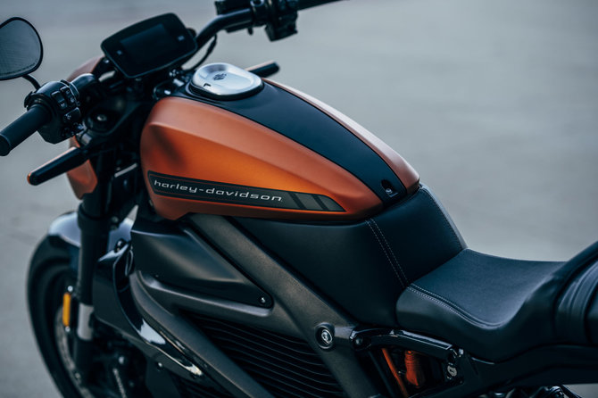 Gamintojo nuotr./„Harley-Davidson LiveWire“