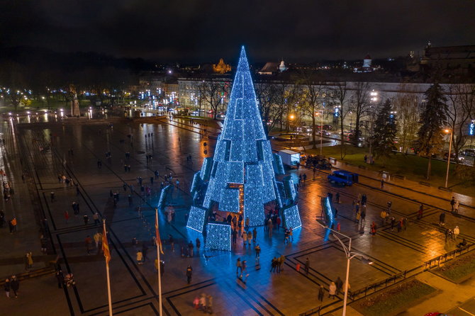 Sauliaus Žiūros nuotr./Vilniaus Kalėdų eglė 