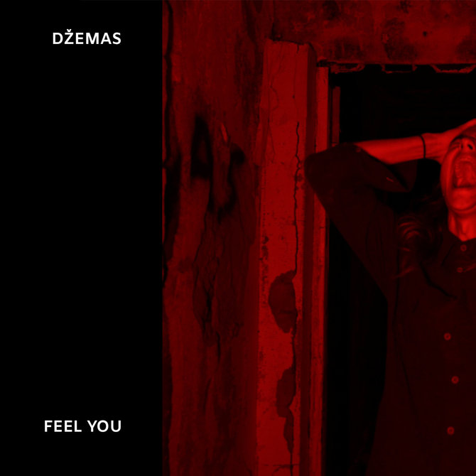 Grupės archyvo nuotr./„Džemas“ – „Feel You“