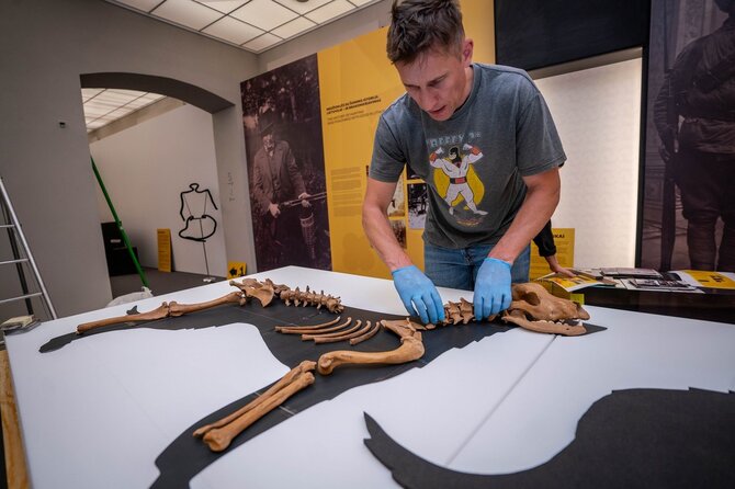S.Samsono nuotr./Archeologas Povilas Blaževičius įrenginėja parodą „Istorija vizgina uodegą“